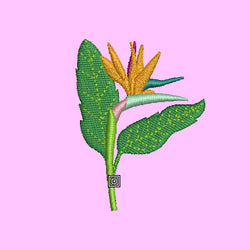 Fleurs exotiques, 3 petits motifs